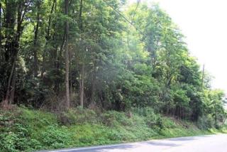 1050 Syner Rd, Bellegrove, PA 17003-9137