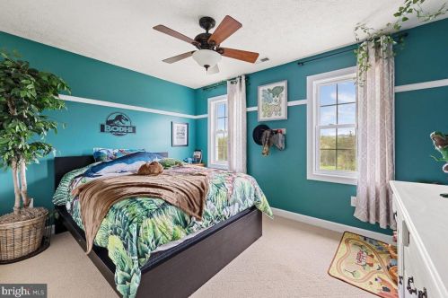 3098 Hamburg Rd, Edinburg VA  22824-3093 exterior