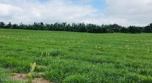 5224 Blue Springs Rd, Marianna FL  32446-6429 exterior