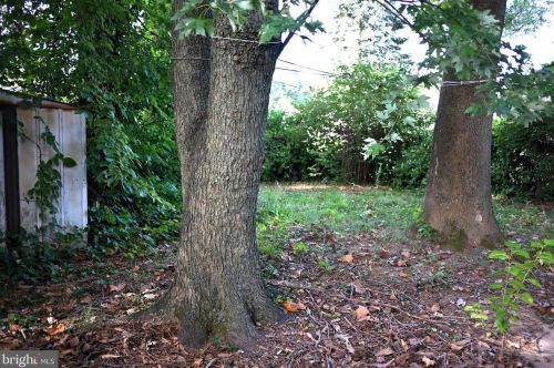 346 Andover Rd, Fairless Hills PA  19030-2231 exterior