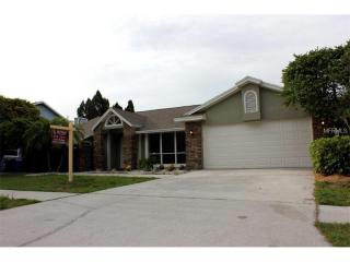 10421 Ashley Oaks Dr, Riverview FL  33578-8831 exterior