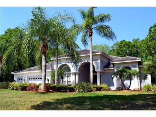 4871 Bridle Ct, Oldsmar, FL 34677-1965