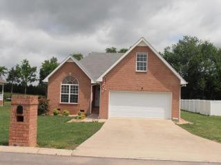 115 Raven Ct, Shelbyville, TN 37160-8308
