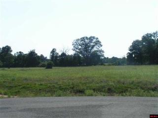 22 Parkman Ter, Whiteville, AR 72635-7916