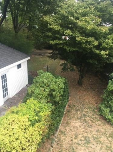 294 Metropolitan Ave, Boston MA exterior