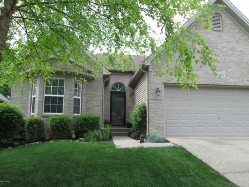 16807 Summit Vista Way, Louisville, KY 40245-5455
