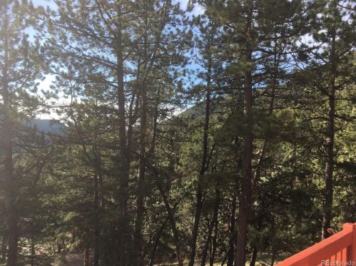 12053 Geronimo Trl, Conifer, CO 80433-7119