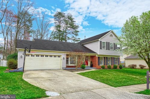 6517 Raftelis Rd, Springfield, VA 22015-4141