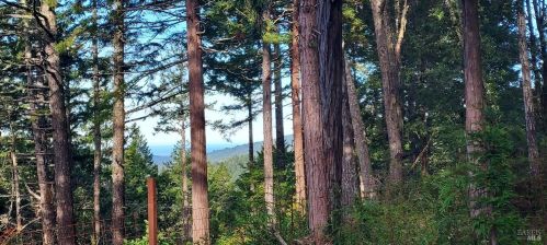 43400 Iversen Rd, The Sea Ranch CA  95445-7582 exterior