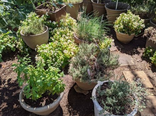 1087 Via Verona Dr, Chico CA  95973-1030 exterior