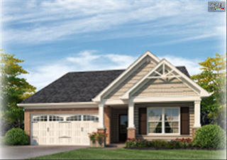252 Bonhomme Cir, Lexington SC  29072-6402 exterior