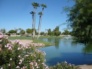 18894 91st Ln, Peoria, AZ 85382-2694
