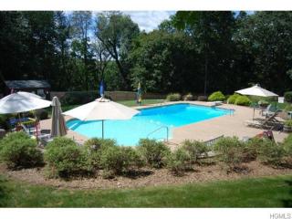 123 Pine Tree Rd, Monroe, NY 10950-3966