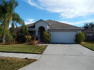 1028 Torreya Way, Odessa, FL 33556-6028