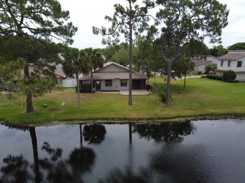 136 Snowgoose Ct, Daytona Beach, FL 32119-1335