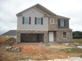 1217 Purple Martin Dr, Effingham, SC 29541-4945