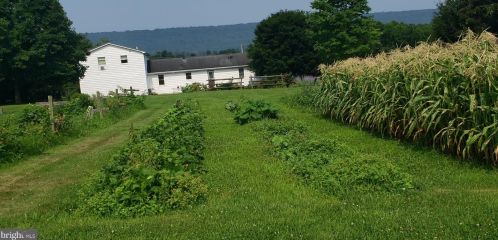19842 Great Cove Rd, Mc Connellsburg, PA 17233-8126