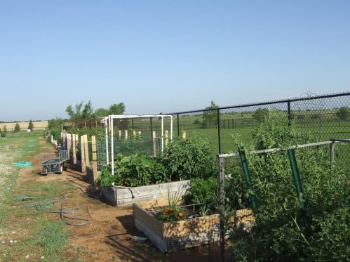 8813 Crestview Dr, Denton TX  76207-8601 exterior