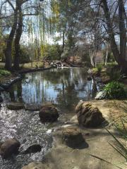 106 Los Patios, Los Gatos CA  95032-1128 exterior