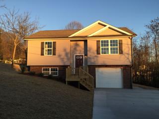 825 Terry Dr, Kingsport, TN 37660-1157