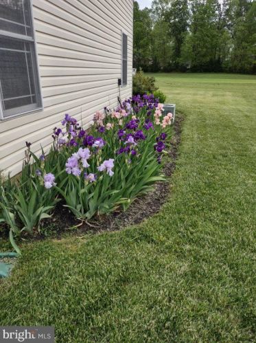 131 Baltusrol Dr, Charles Town WV  25414-4085 exterior