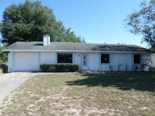 1500 Seahorse St, Deltona, FL 32725-4742