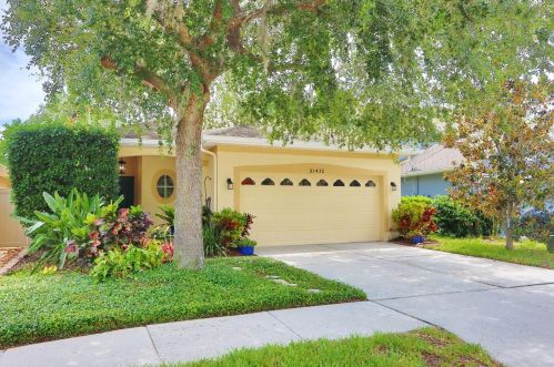 21432 Morning Mist Way, Land O Lakes, FL 34637-7624