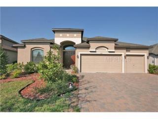 19415 Sweet Grass Way, Lutz, FL 33558-5016