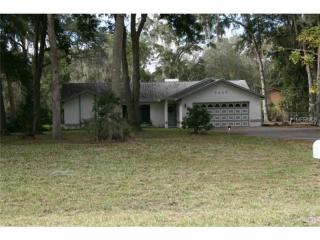 8425 Southwood Oaks St, Lithia, FL 33547-2256