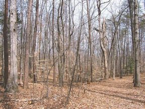 11511 Forest Walk Dr, Spotsylvania VA  22551-7919 exterior