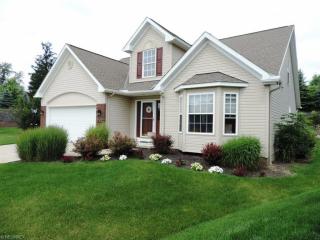 183 Filly Ln, Macedonia, OH 44067-1279