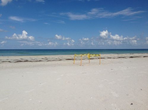 3201 Maritana Dr, Saint Petersburg FL  33706-4036 exterior