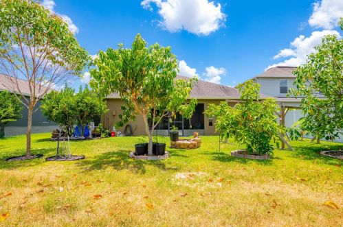 13146 Royal Pines Ave, Riverview FL  33579-9321 exterior