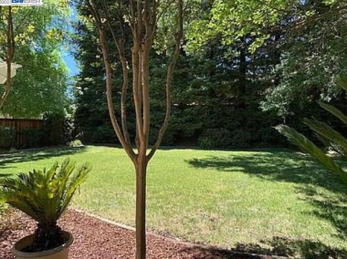 6521 Young Oak Ct, Citrus Heights CA  95662-6007 exterior