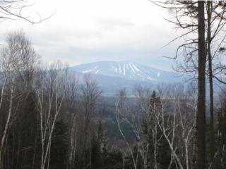 220 Pierce Rdg, Landgrove, VT 05148-9583