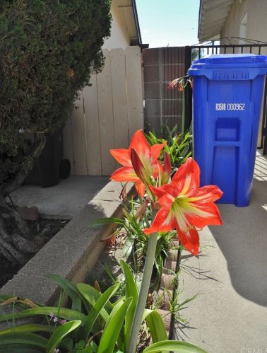 5551 Del Loma Ave, San Gabriel CA  91776-1649 exterior