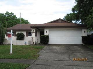 1350 Amberlea Dr, Dunedin, FL 34698-4713