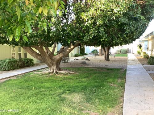 10937 Coggins Dr, Sun City AZ  exterior