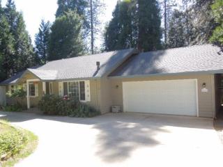 16630 Meadow Vista Dr, Pioneer, CA 95666-9363
