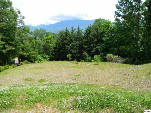 1338 Garrett Dr, Gatlinburg, TN 37738-4211