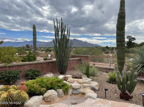 8680 Johnny Miller Dr, Tucson, AZ 85742-9794