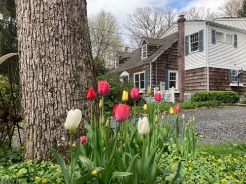 42 King George Rd, Warren NJ  07059-7045 exterior