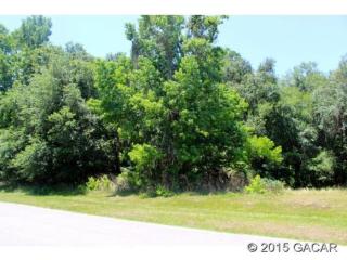 10924 10th Ter, Micanopy, FL 32667-3327