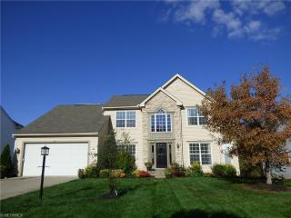 5408 Montville Dr, Medina, OH 44256-5317