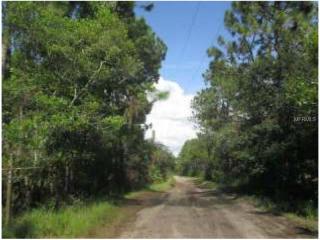 480 Antler Ave, Osteen, FL 32764-8615