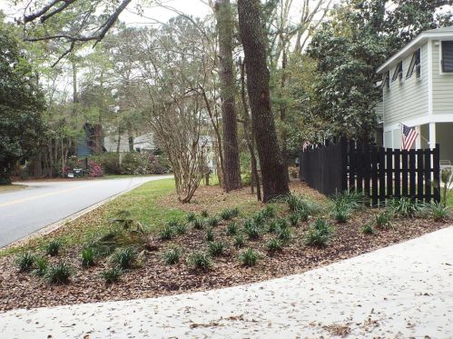 786 Dragoon Dr, Mount Pleasant SC  29464-3023 exterior