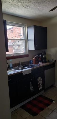 913 Berkshire Ave, Pittsburgh PA  15226-2136 exterior