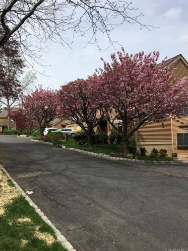 208 Ivy Hill Ln, Rye Brook NY  10573-1607 exterior