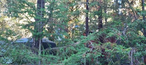 43400 Iversen Rd, The Sea Ranch CA  95445-7582 exterior