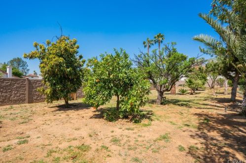 732 Buckingham Dr, Redlands CA  92374-6421 exterior